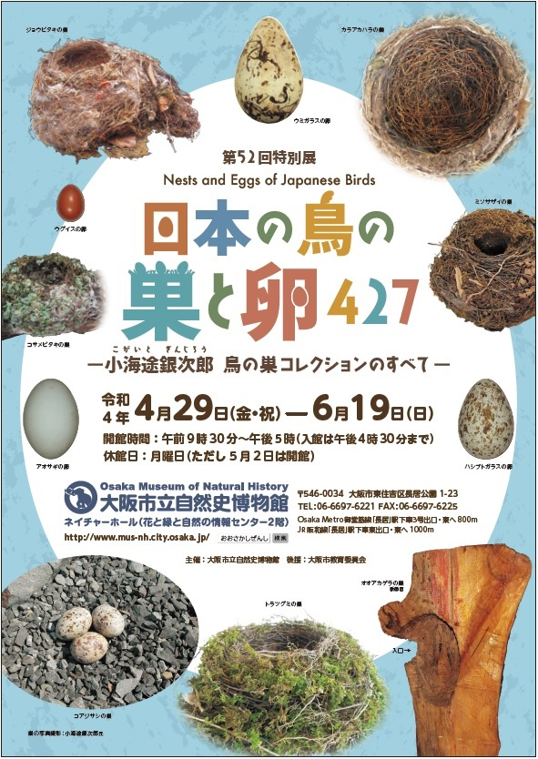 特別展「日本の鳥の巣と卵427 ～小海途銀次郎 鳥の巣コレクションの